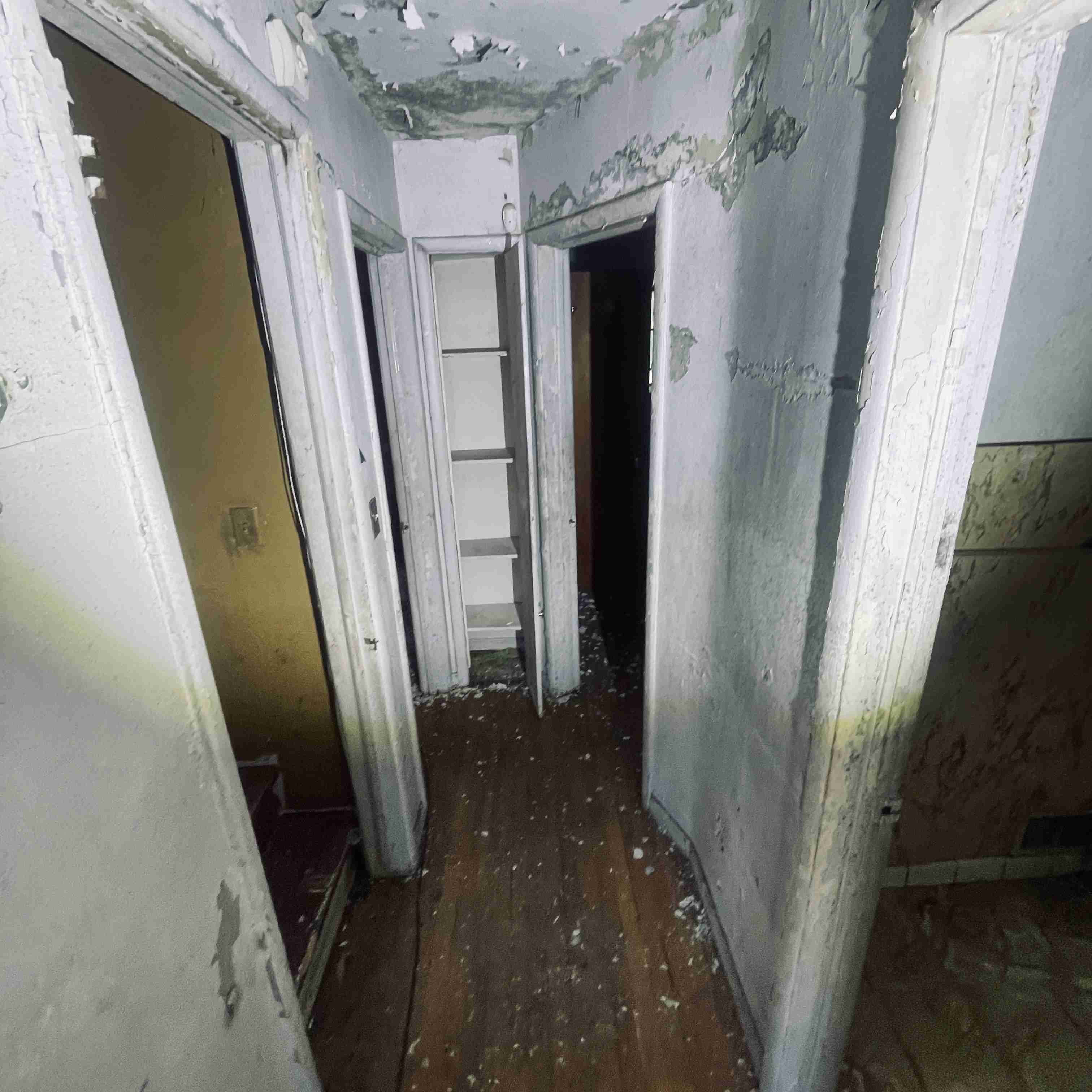 4277 TUXEDO (33).jpg